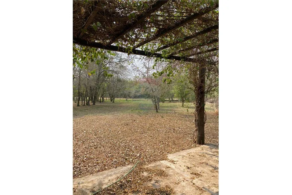 Anuncio 1758538 — foto 2