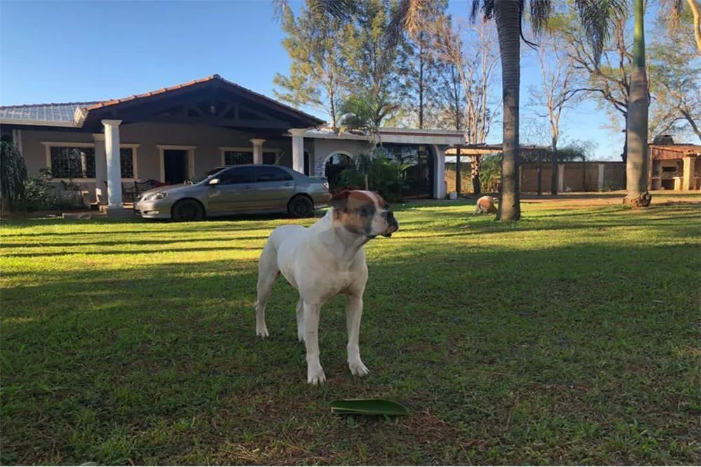 Hermosa CASA QUINTA 264,000 USD — foto 2
