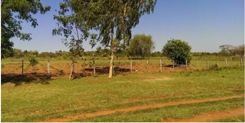 2 Terrenos Juntos en Paso de ORO III - Ypane — foto 3