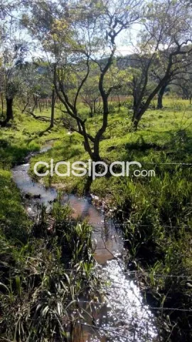 VENDO TERRENO DE 12 HECTARIAS EN MINGA GUAZU — foto 2