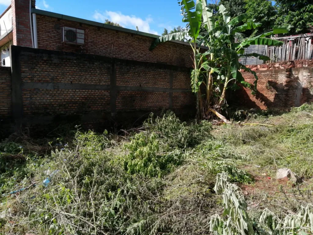 Terreno 12x36 Ñemby — foto 2