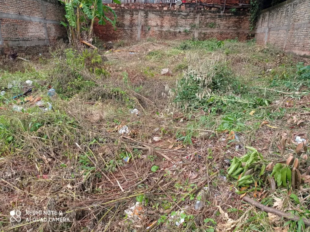 Terreno 12x36 Ñemby — foto 3