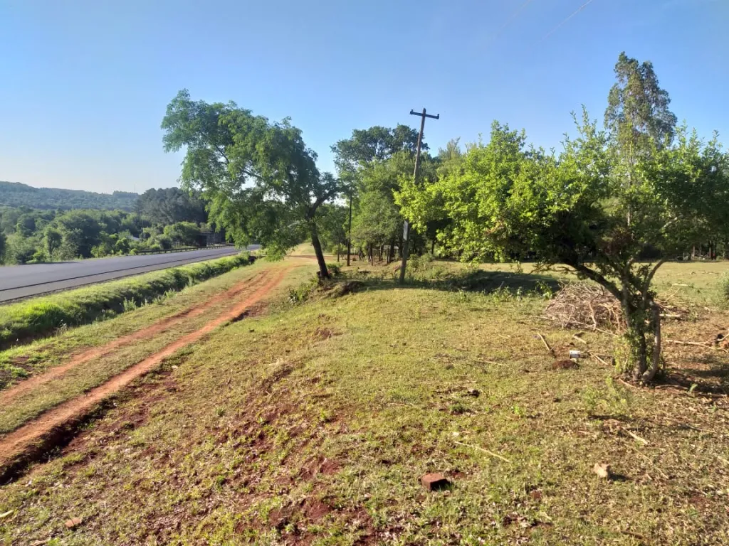 Vendo casi 2 hectáreas sobre ruta 1 a 10 min de Encarnación — foto 2