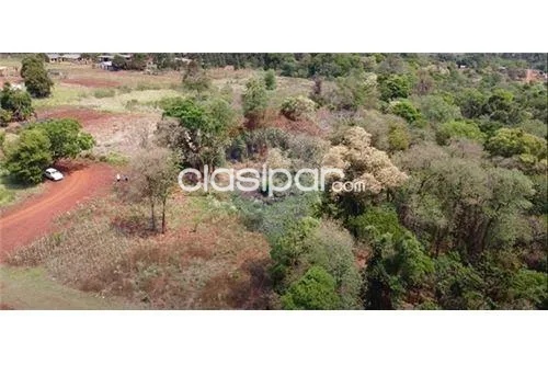VENDO HERMOSO TERRENO BOSQUE NATURAL 41.896 MTS2 600,000 USD — foto 3
