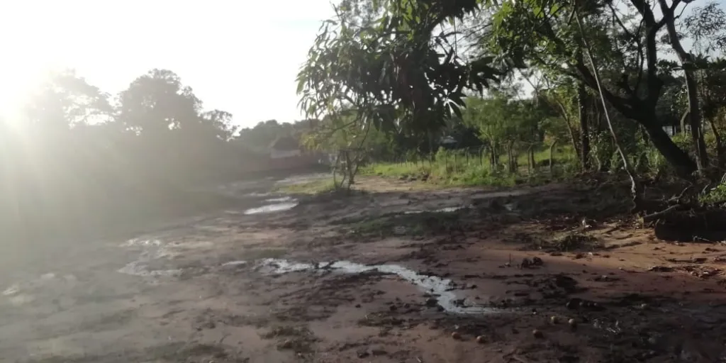 Terreno en venta en Palma Loma Luque — foto 2