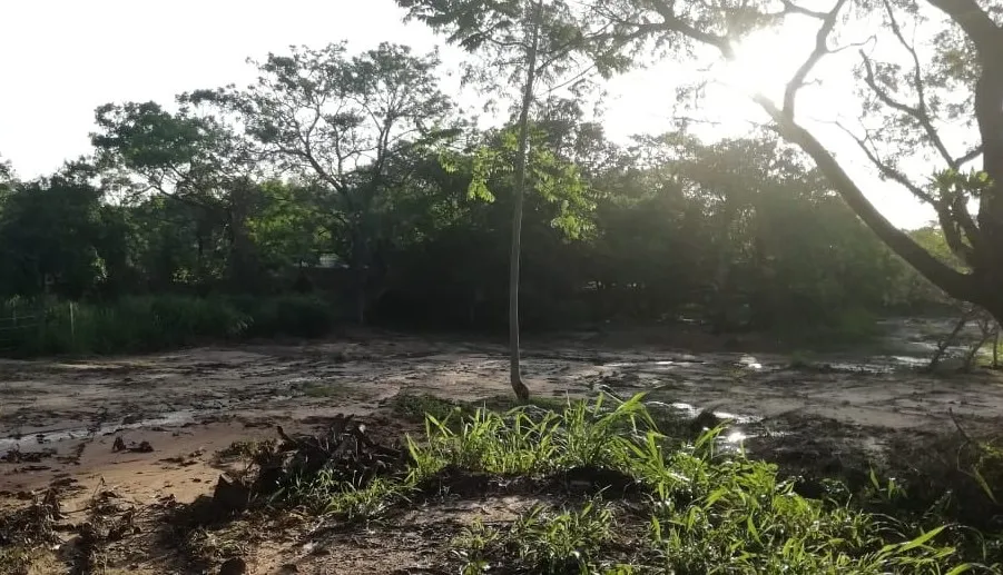 Terreno en venta en Palma Loma Luque — foto 3