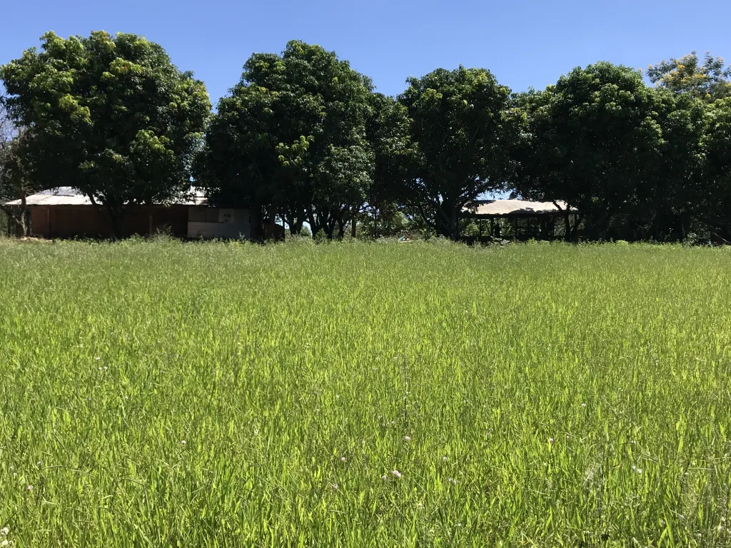 Privado vende terreno — foto 3