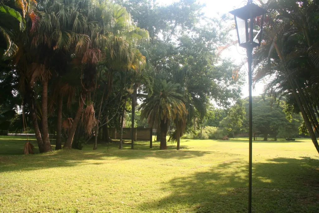 Terrenos para Desarrollos Inmobiliarios — foto 2