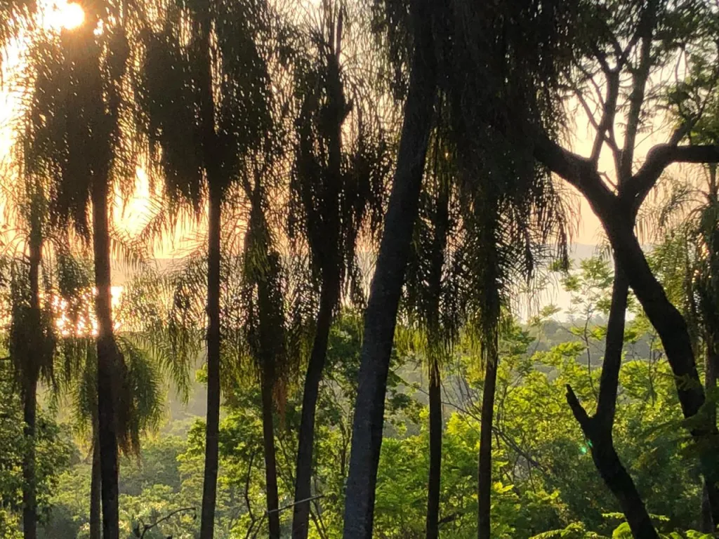 VENDO PROPIEDAD EN SAN BERNARDINO COD 3393 — foto 2