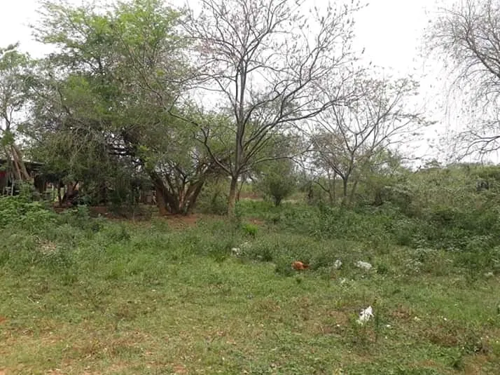 VENDO 2 TERRENOS PEGADOS EN MORA CUE, LUQUE — foto 3