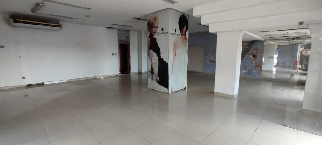 SOBRE EUSEBIO AYALA Y GRAL SANTOS AMPLIO SALÓN — foto 2