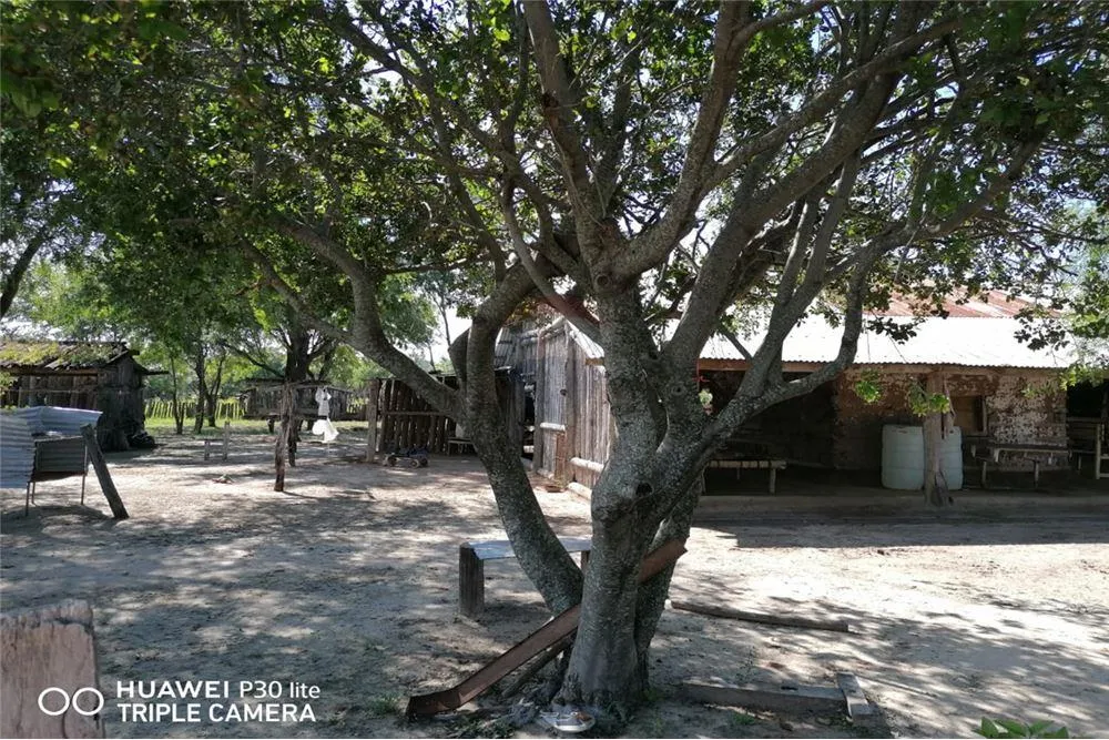 EstanciaCampo Alto Paraguay Bahia Negra Estancia en Venta (T.P.) — foto 3