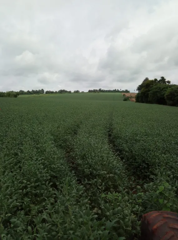 Vendo terreno en San Rafael del Paraná, a 6 kilómetros de la nueva ruta N° 7. — foto 3