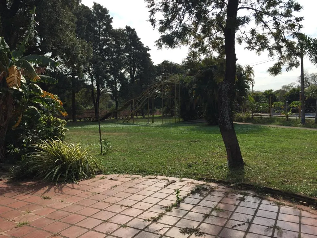 Anuncio 1767161 — foto 2