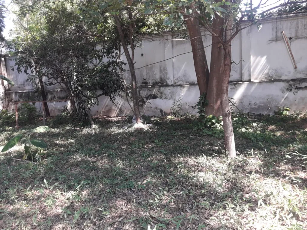 Terreno en venta sobre Av Gral Santos — foto 2