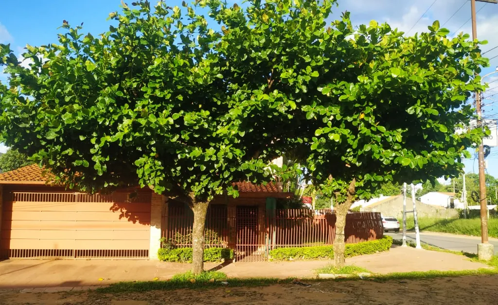 VENDO CASA EN ESQUINA CON PISCINA, CALLE LIBERTAD ZONA NORTE FDO. DE LA MORA — foto 3
