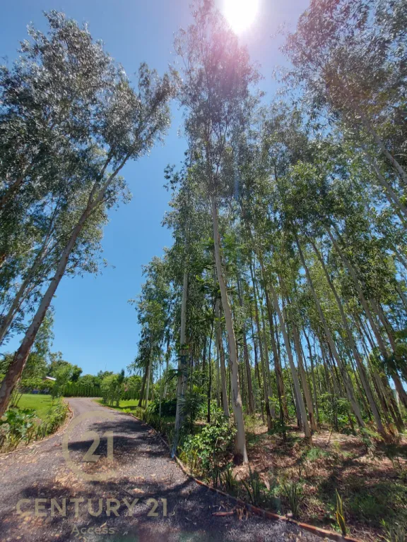Lujosa Quinta en Pirayú — foto 2