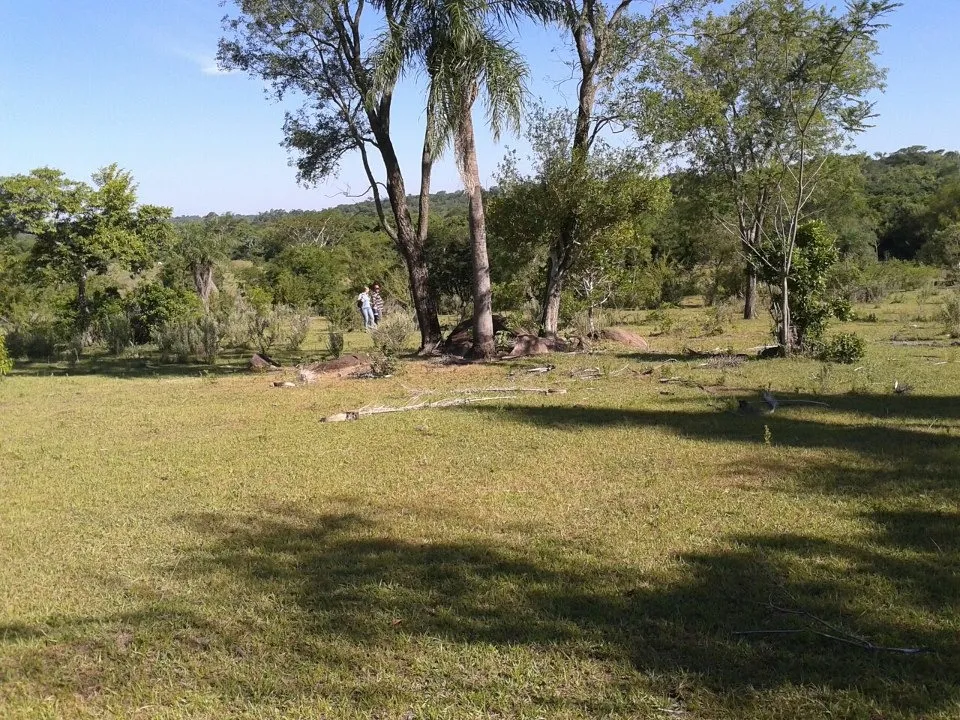 VENDO 45 HECTAREAS EN PARAGUARI CERCA DE CAÑADA, ROQUE GONZALES COD 3449 — foto 2