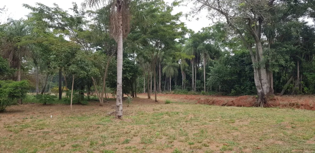 LOTES EN YPANE — foto 2