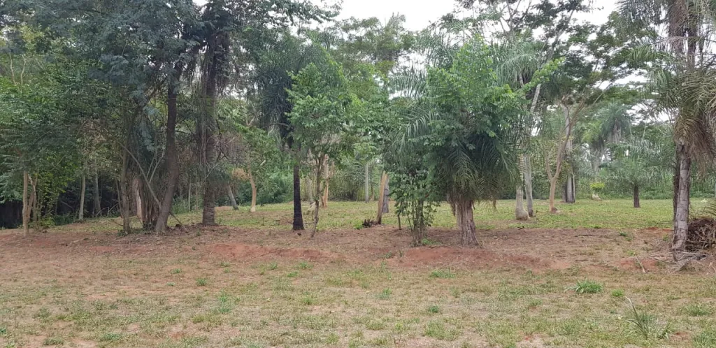 LOTES EN YPANE — foto 3