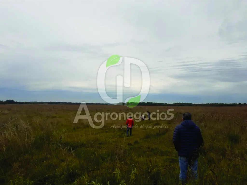 ALQUILER DE CAMPO AGRÍCOLA - Gral. Artigas Itapúa — foto 2