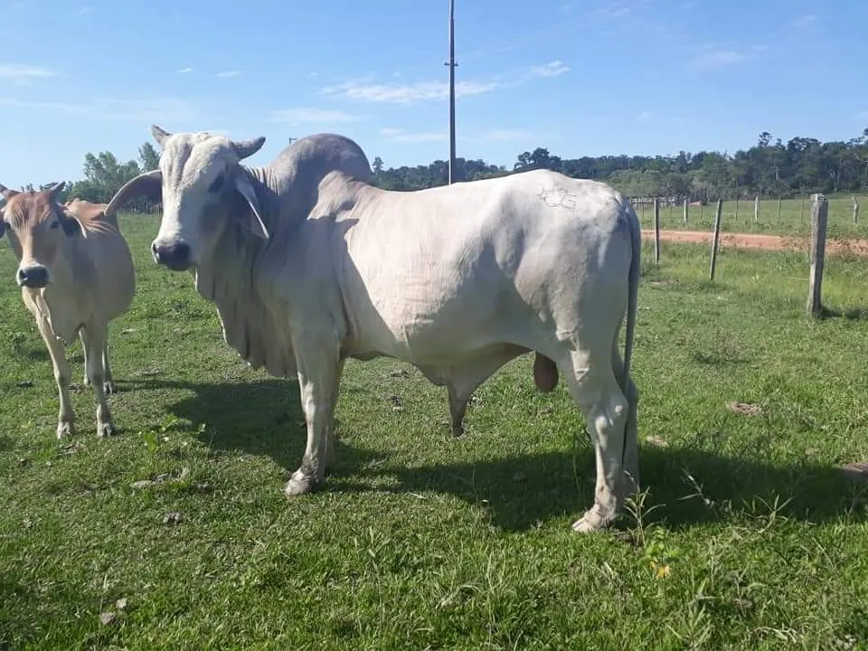 IMPERDIBLE OFERTA EN SAN JOSÉ DE LOS ARROYOS — foto 3