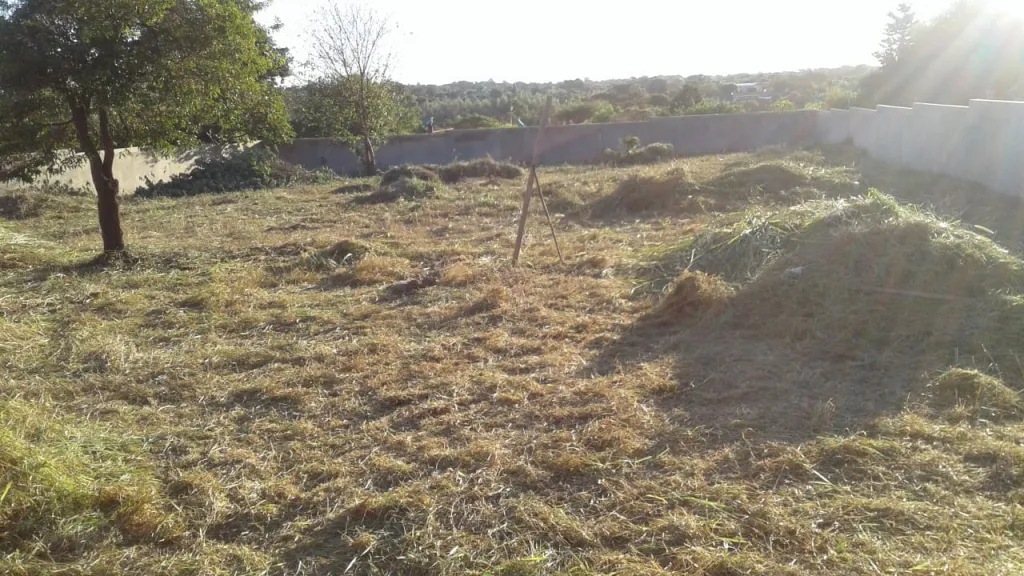 Vendo Terreno km 14 1800 m2 — foto 2