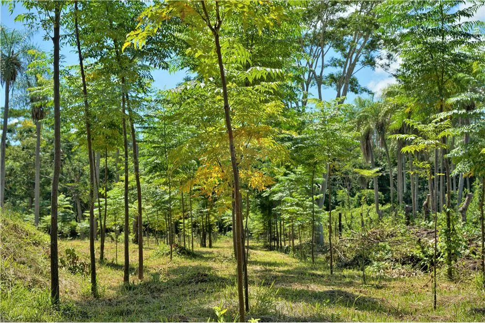 Atención Inversionistas - Granja Productiva 850,000 USD — foto 2