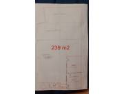 tinglado, zona Artigas, Asuncion