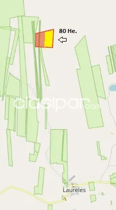 Vendo Campo 80 hectareas, Laureles, Ñeembucu — foto 2