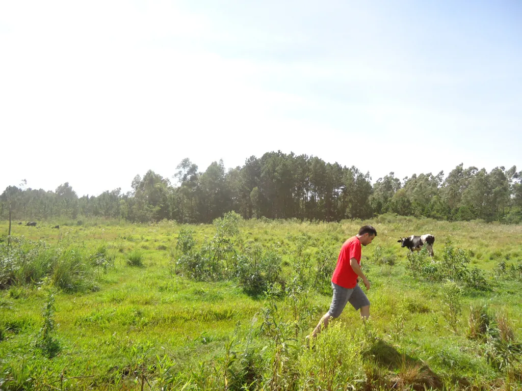 OFERTA DE TERRENO EN KM 19 MINGA GUAZU 3.5 HECTAREAS — foto 2
