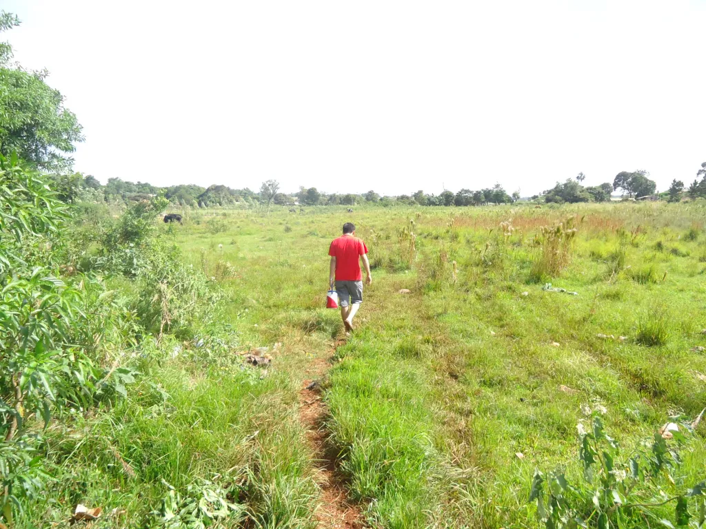 OFERTA DE TERRENO EN KM 19 MINGA GUAZU 3.5 HECTAREAS — foto 3