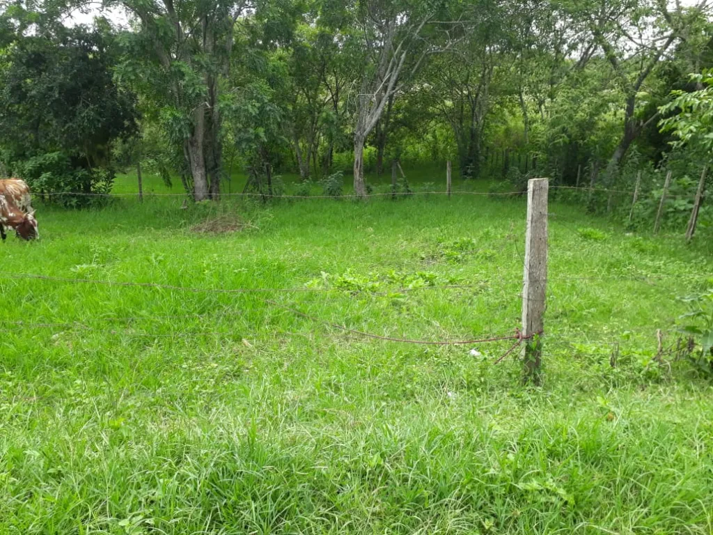 VENDO!!! — foto 3