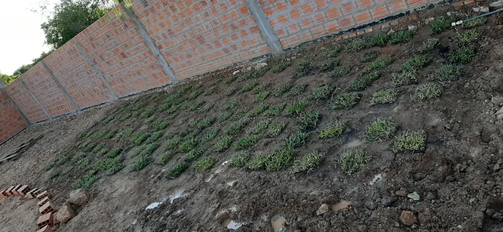 Para Quinta. Terreno de 630 metros cuadrados. — foto 2