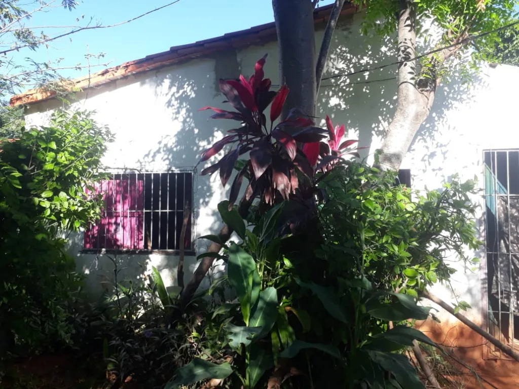 Vendo casa en Luque — foto 2