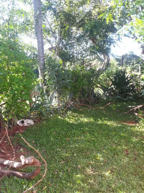 Vendo casa en Luque — foto 3