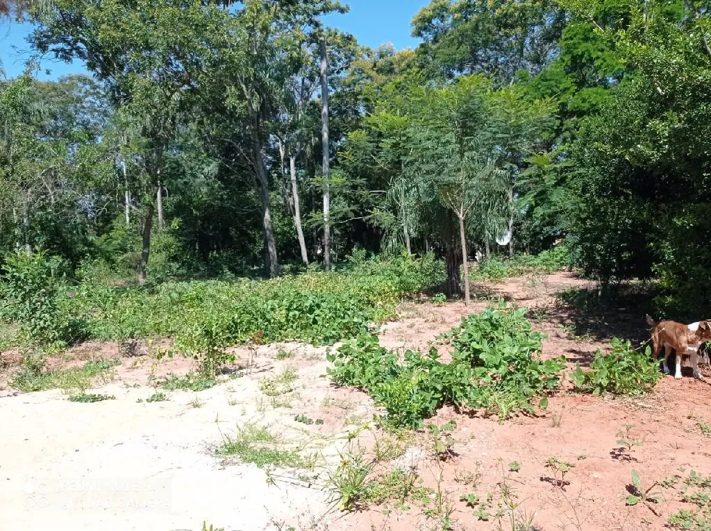 Vendo un terreno de 16 x 70 — foto 2