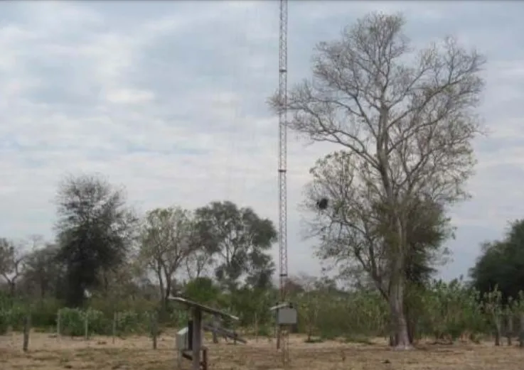 Vendo Establecimiento Ganadero en Bahia Negra — foto 3