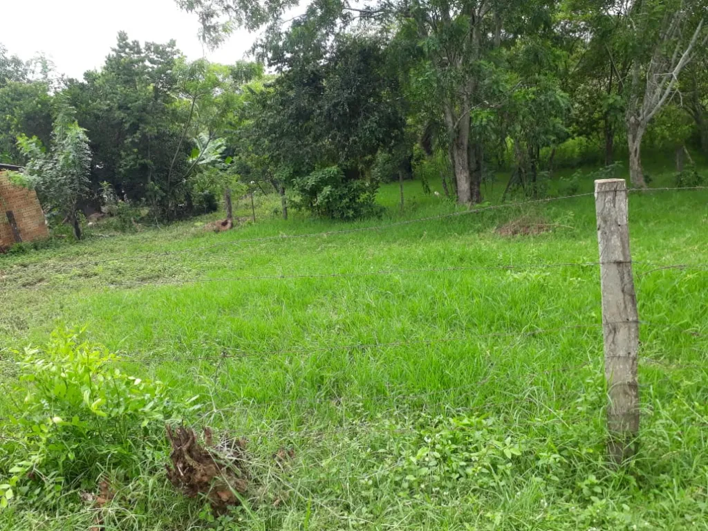 VENDO TERRENO TITULADO!!! — foto 2
