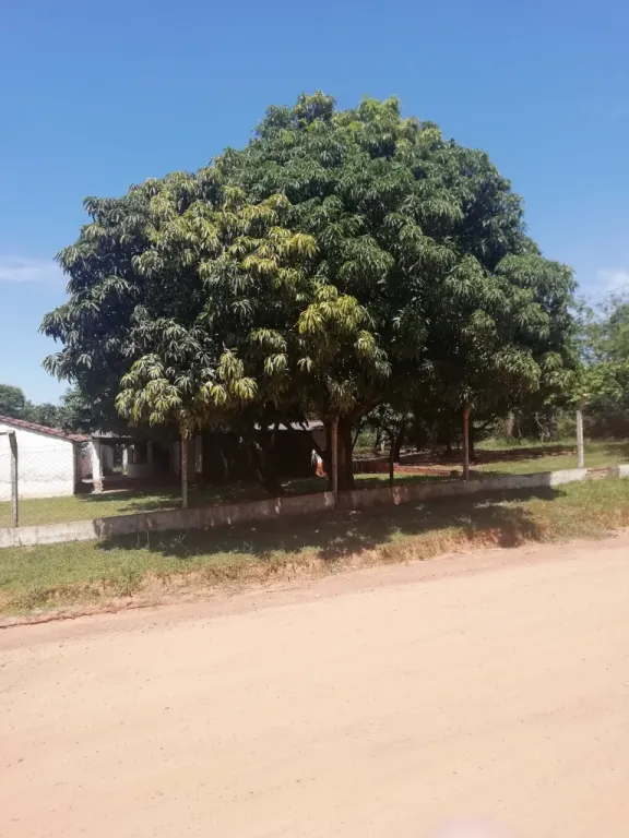 TERRENO EN QUINDY — foto 3
