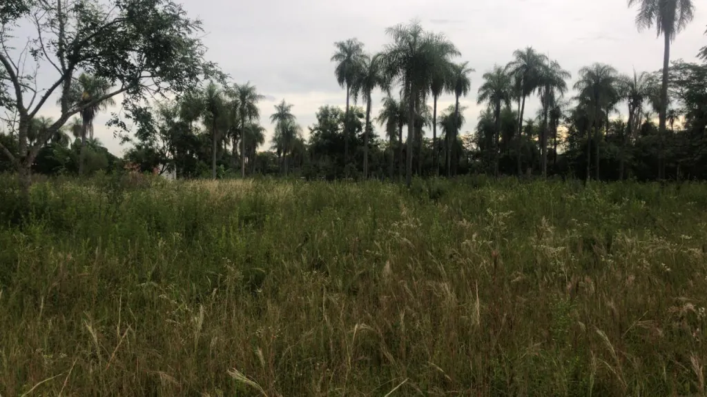 Vendo terreno en Itauguà — foto 3