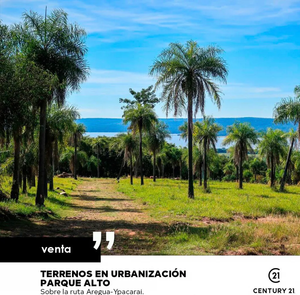 VENDO TERRENO — foto 2