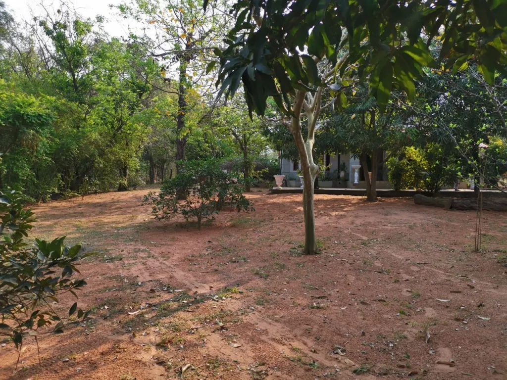 ACCESO SUR – GUARAMBARE: 2.300M2, EN ESQUINA, S RUTA, IDEAL P GRANDES EMPRENDIMIENTOS. — foto 2