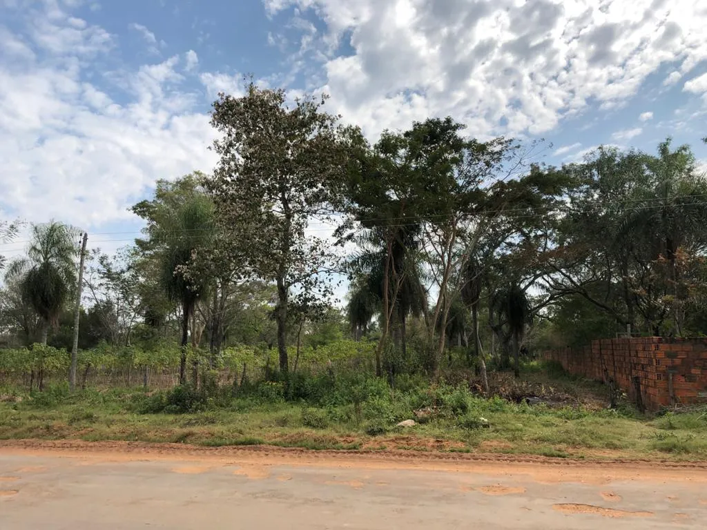 TERRENO EN VENTA - 6.100 MTS2 EN SAN BERNARDINO — foto 2