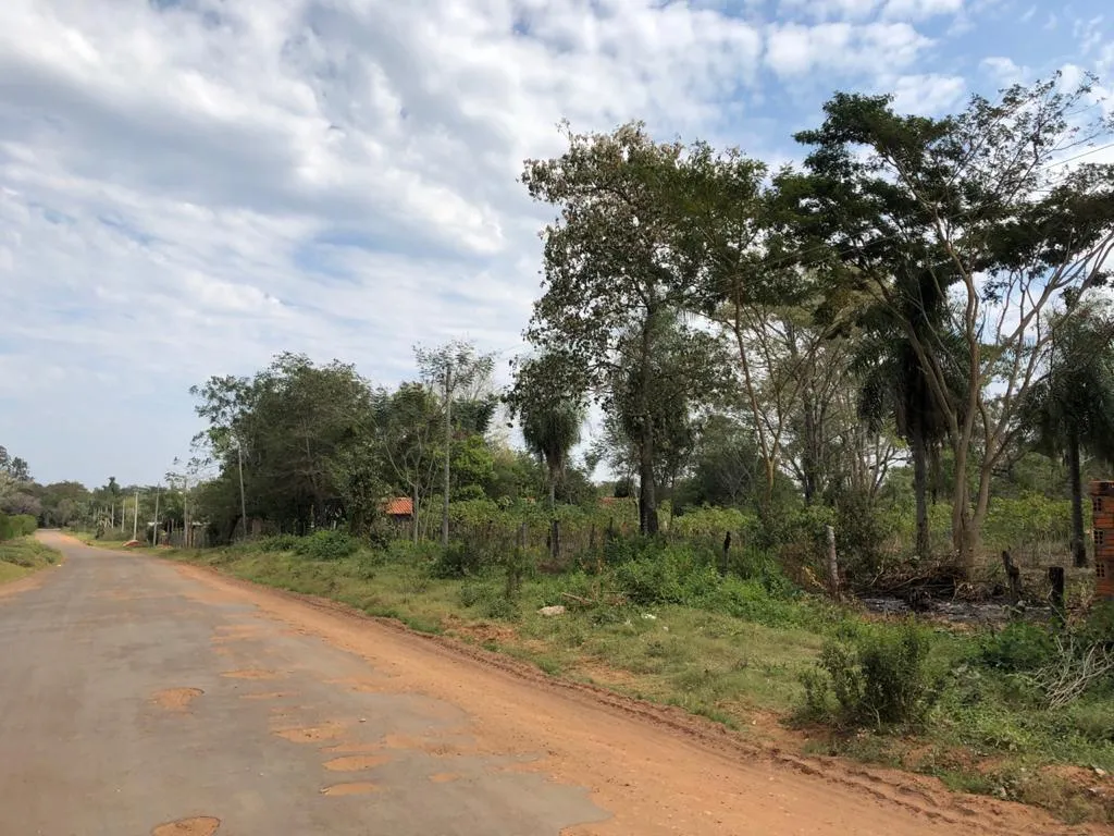 TERRENO EN VENTA - 6.100 MTS2 EN SAN BERNARDINO — foto 3