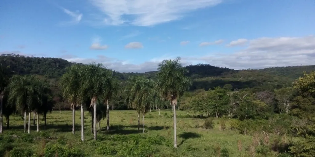 P INVERSIONISTAS EN TURISMO Y OTROS (GANADO DE ENGORDE) — foto 3