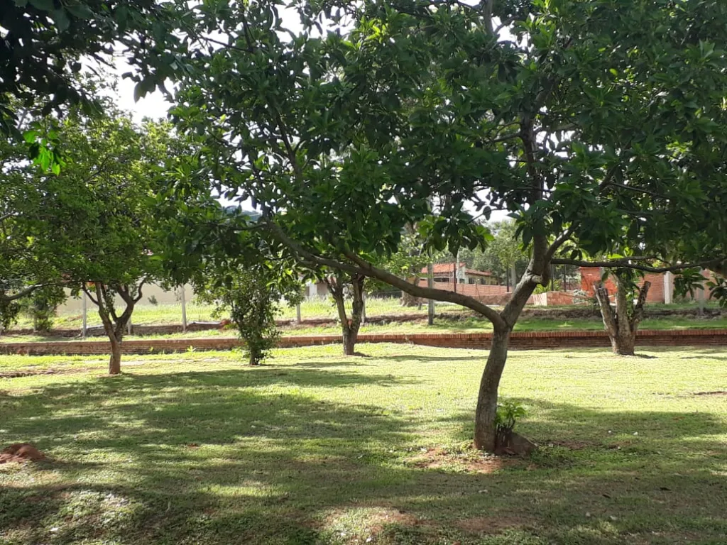 Vendo terreno con casa 🏡 en Caacupé — foto 3