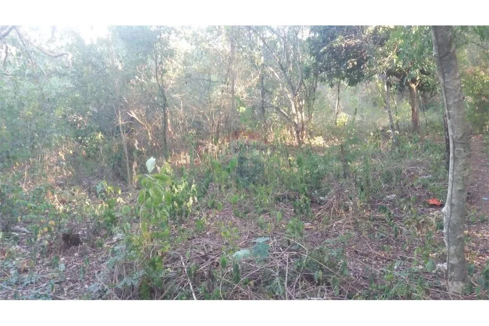 VENDO AMPLIO TERRENO EN EL CENTRO DE ATYRA — foto 2