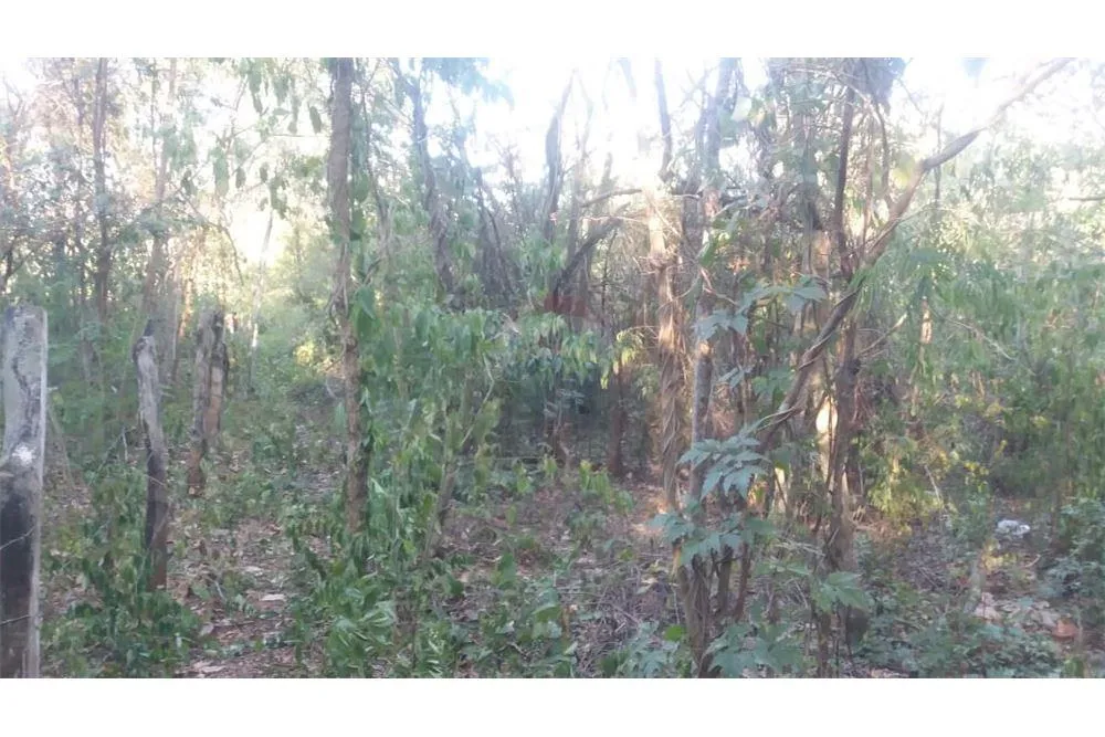 VENDO AMPLIO TERRENO EN EL CENTRO DE ATYRA — foto 3