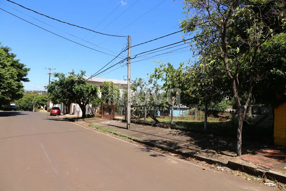 VENDO 4 TERRENOS JUNTOS DE CALLE A CALLE, KM 6,5 SAN ISIDRO CDE — foto 3